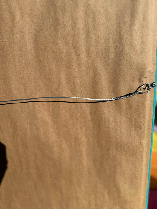 "Suzume" - Framed Original Illustration